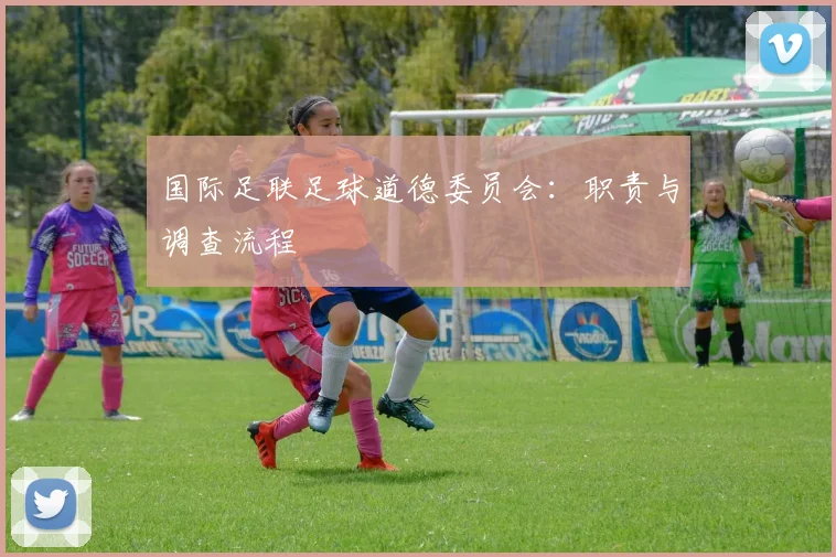 国际足联足球道德委员会：职责与调查流程