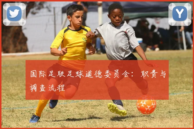 国际足联足球道德委员会：职责与调查流程